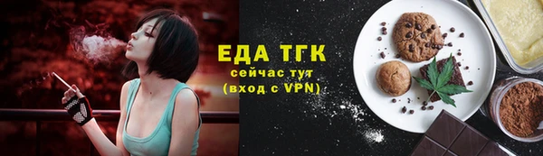 индика Арсеньев