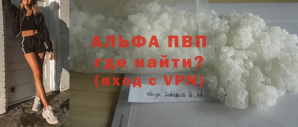индика Арсеньев