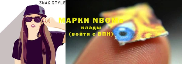 индика Арсеньев