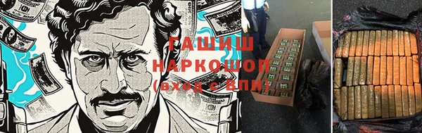 индика Арсеньев