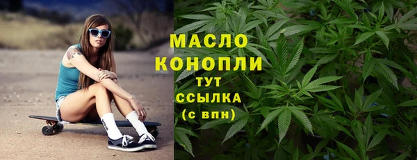 индика Арсеньев