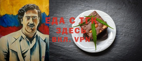 индика Арсеньев